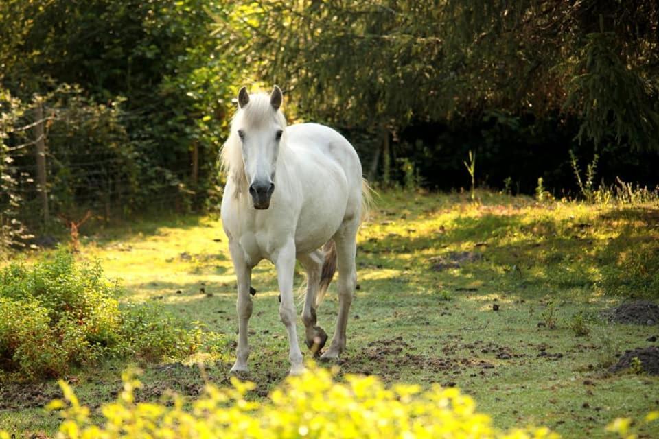 شقة 2 Coeurs 2 Landes Garrosse المظهر الخارجي الصورة